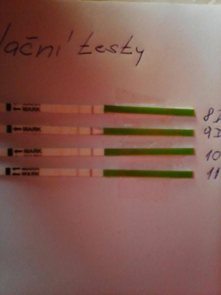 Ovulační test, co myslíte?