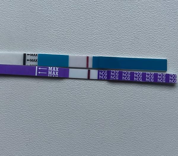 Je to duch na těhotenském testu nebo negativní výsledek?