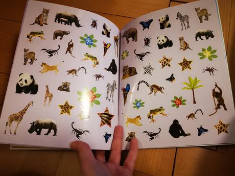 Kreativní kniha zvířátka,