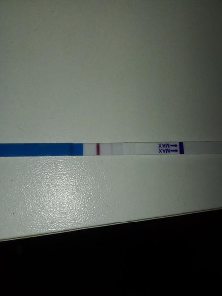 Pozitivní test: Silnější čárka za pár dní