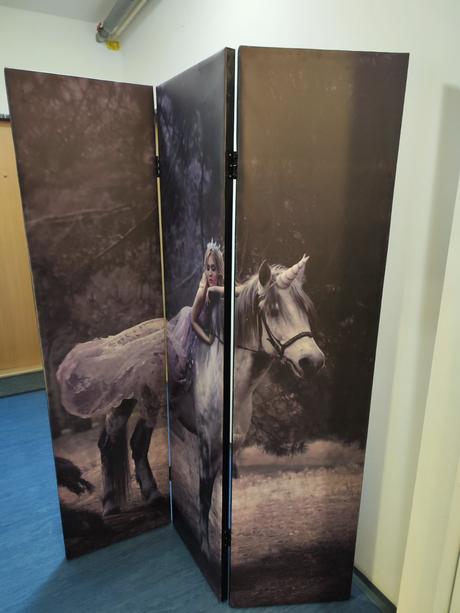 Oboustranný paraván s koněm,