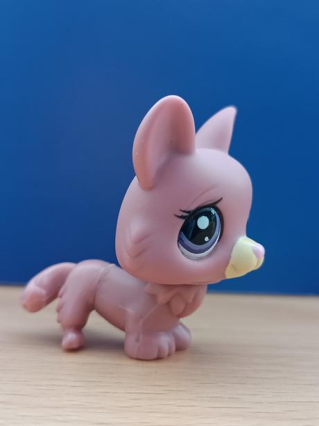 Lps pejsek corgi + růžová kočička + brýle,