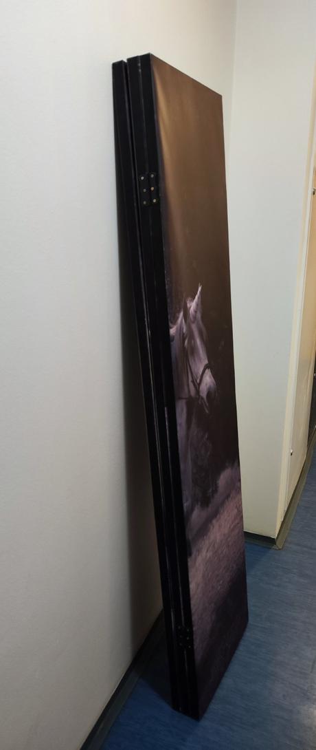 Oboustranný paraván s koněm,