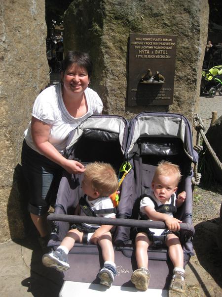 Hledám maminku z Prahy, nejlépe s dvojčátky cca 2letými