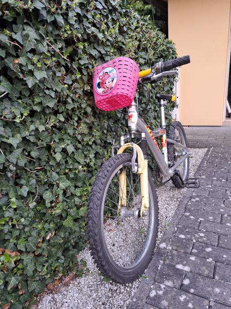 Dětské kolo lion 20, 20