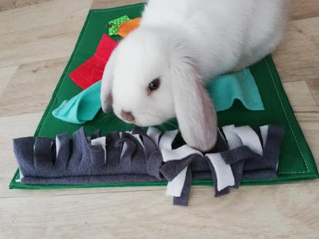 Čmuchací koberečky pro králíky, 