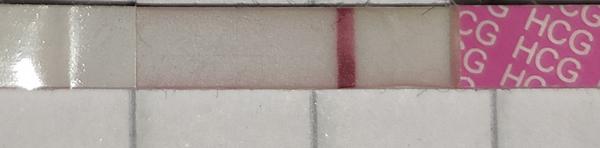 Vidíte pozitivní těhotenský test po 15 dnech od styku?