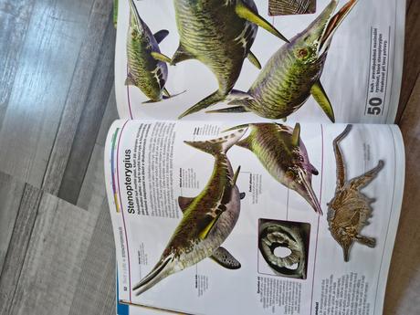 Kniha dinosauři v kostce,