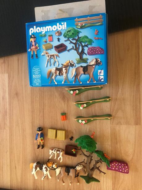 Playmobil 5227 koňský trénink, 