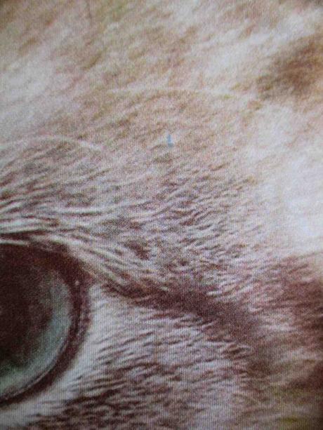 Dívčí trička s kočkami 158 164 set 3ks, 158