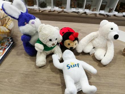 Plyšáci-králík, medvědi, beruška, surf, 