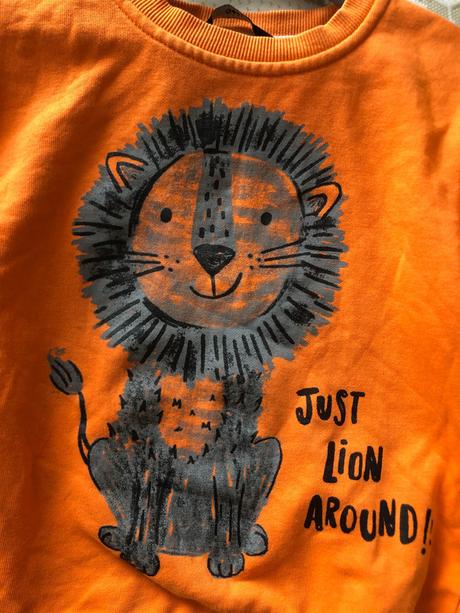 Oranžová mikina s lvíčkem, 98