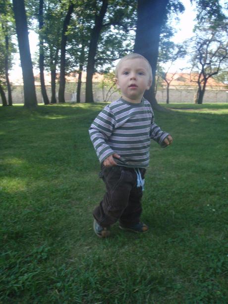 Hnědý set oblečení, manžestrové kalhoty, 3x triko, next,80