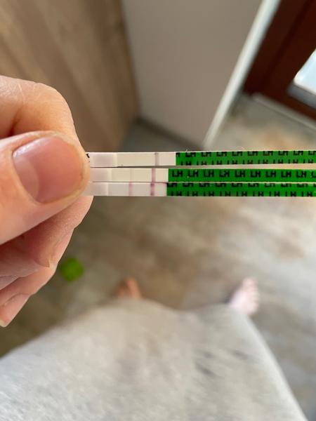 Stoupající síla ovulačního testu po ovulaci: Co to znamená?