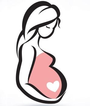 Tehotenstvi Tyden Po Tydnu 8 Tyden Modry Konik