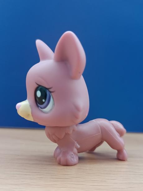 Lps pejsek corgi + růžová kočička + brýle,