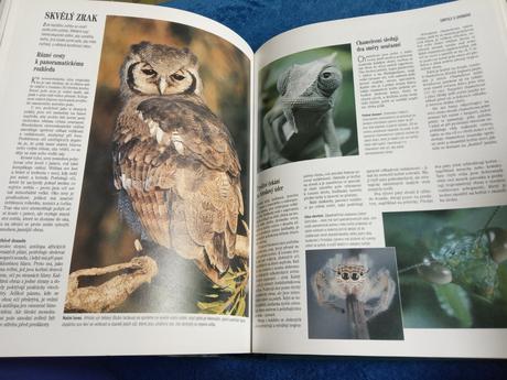 Velká knížka o zvířatech,