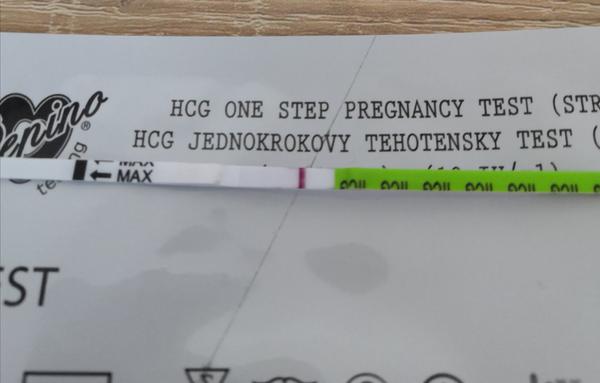 Co vidíte tam v testovacím fóru?