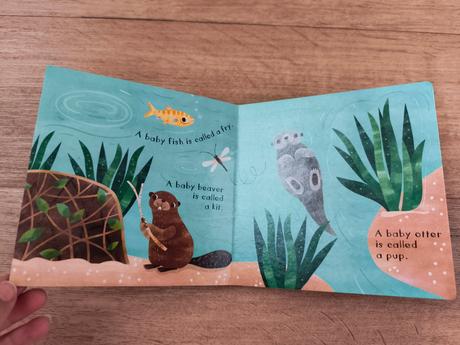 Knížka s otevíracími okýnky / lift-a-flap-book,