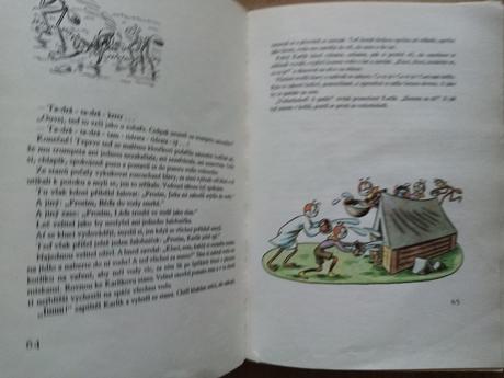 Kniha ferda mravenec, 