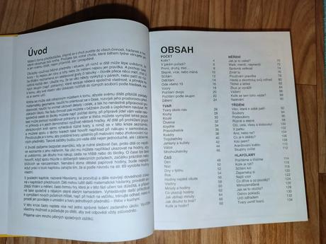 Kniha - co mám umět než půjdu do školy, 