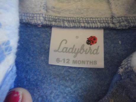 Mikina s kapucí, ladybird,74