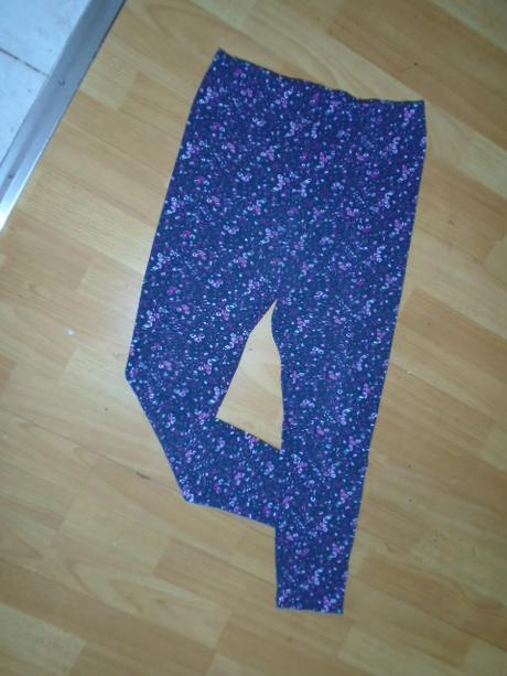 Leginy vel s, st. bernard,s