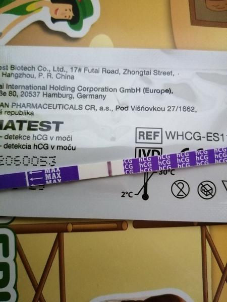 Má se mi něco rýsovat na těhotenském testu?