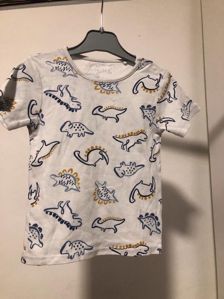 Bílé triko s dinosaury, 92