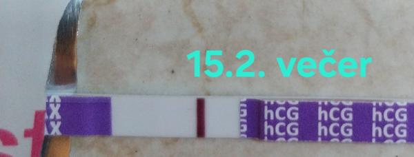 Je na těhotenském testu duch nebo falešný výsledek?