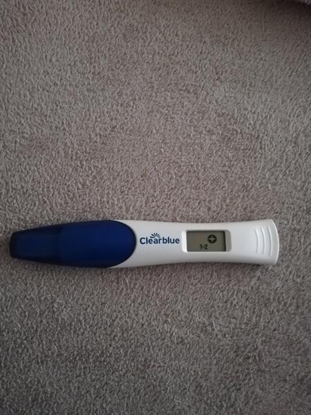 Těhotná. Jak se cítíte?