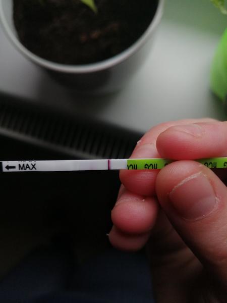 Příznaky těhotenství: Jak je rozpoznat?