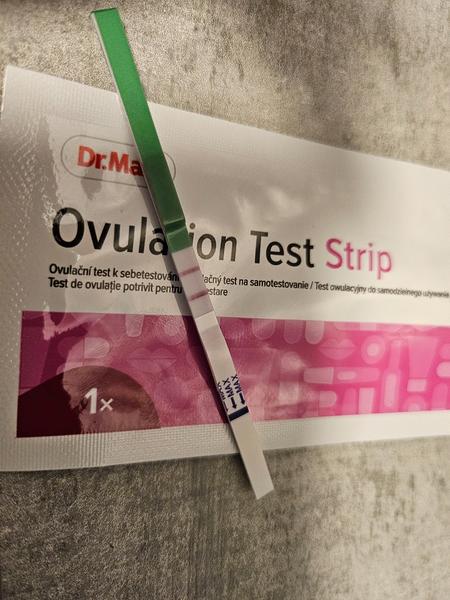 Je čas na pokus o miminko? Ovulace a pozitivní test