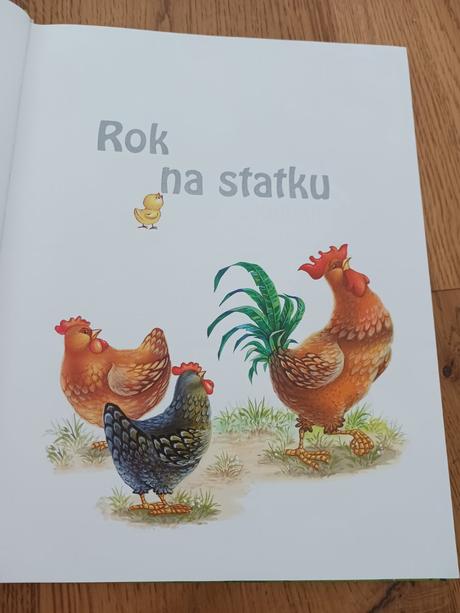 Kniha rok na statku., 