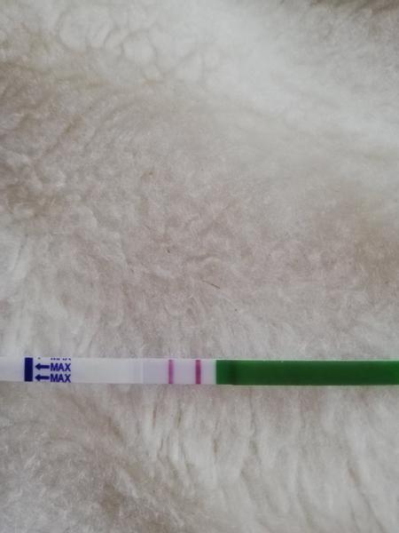 Ovulační test. Co myslíte, pozitivní?