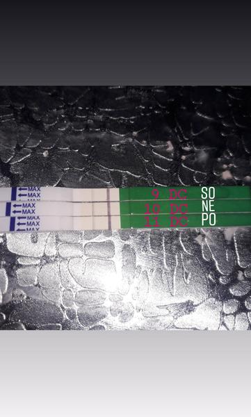 Ovulace. Myslíte, že se blíží?