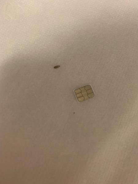 Jak rozpoznat neznámého brouka v bytě?