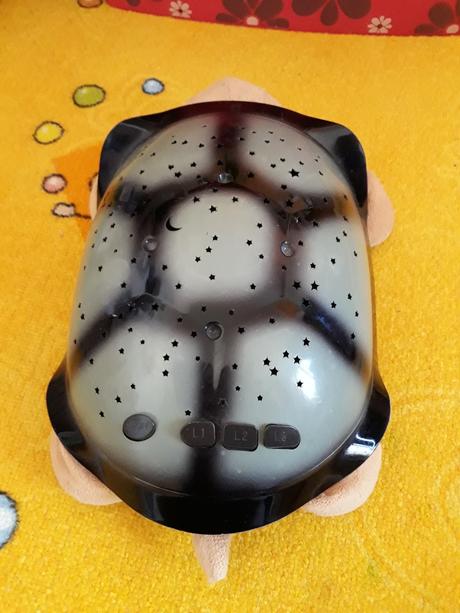 Želva hvězdné nebe,