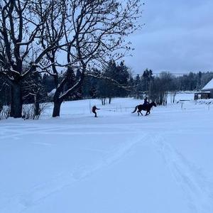 @lenkabukov: Jedna z věcí, která mě na zimě opravdu baví