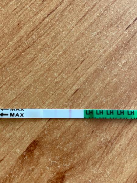 Ovulační test. Myslíte, že mám ovulaci nebo teprve přichází?