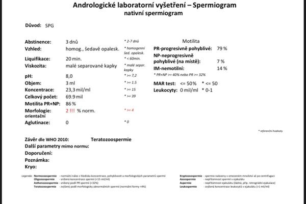 Je šance na přirozené početí při špatné morfologii spermií?
