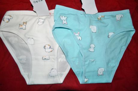 2x dívčí kalhotky, bavlna,110-122, 110 / 116 / 122