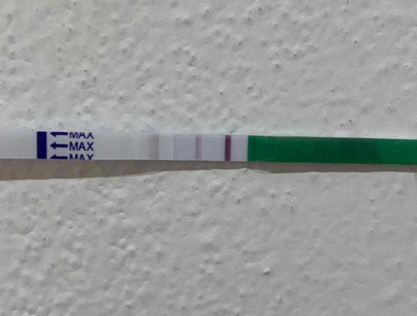 Ovulační test. Proběhla už ovulace?