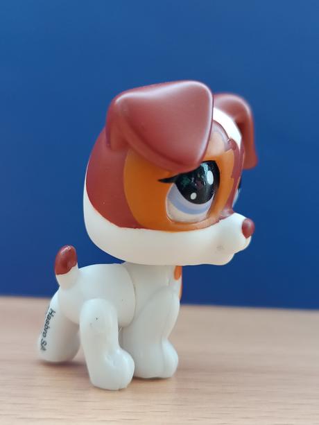 Lps jack russell teriér, 