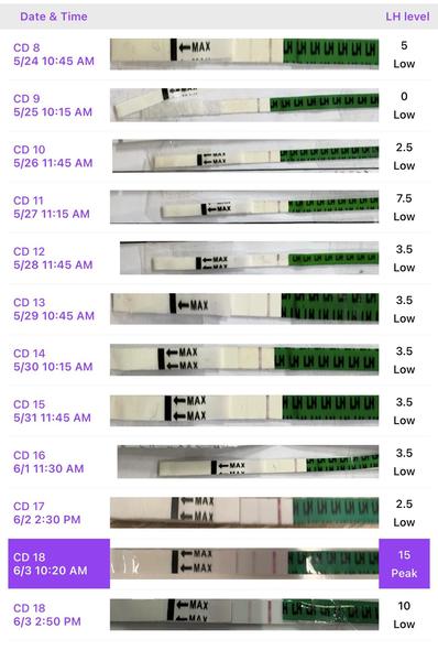 Je ovulační test podle aplikace správně pozitivní?