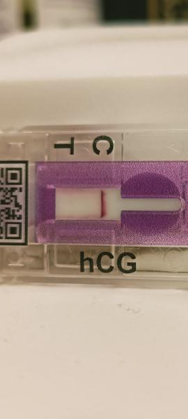 Zkušenosti s krevními testy TT duch po ovulaci?