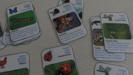 Montessori naučné kartičky, 