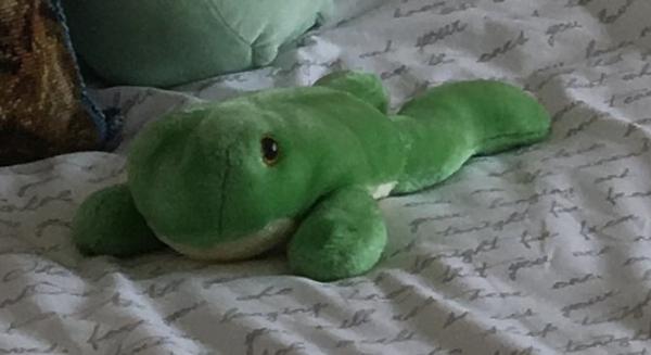 Sháním tuto plyšovou žabku. Prosím, pomozte!