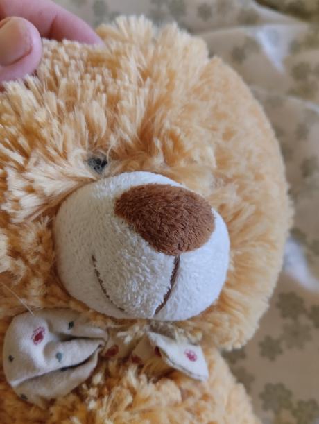 Plyšový medvídek, 