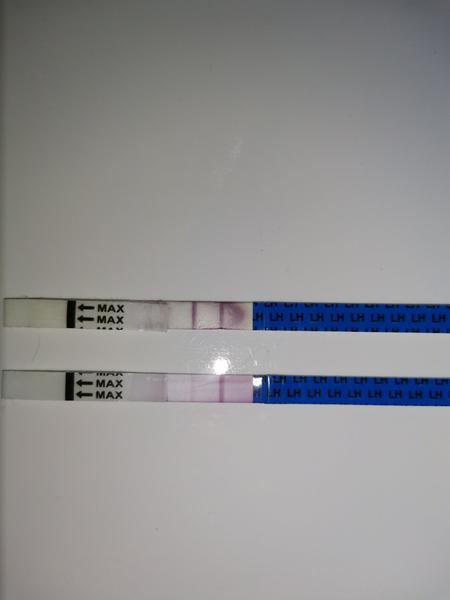 Ovulační test. Co to znamená?